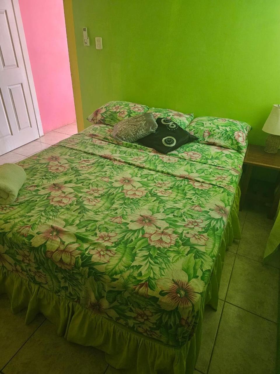 Fish Tobago Guesthouse Or Joy And Brandon Guesthouse Buccoo Oda fotoğraf